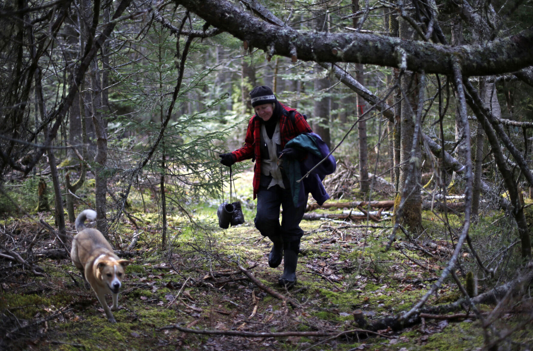 Hiker and dog